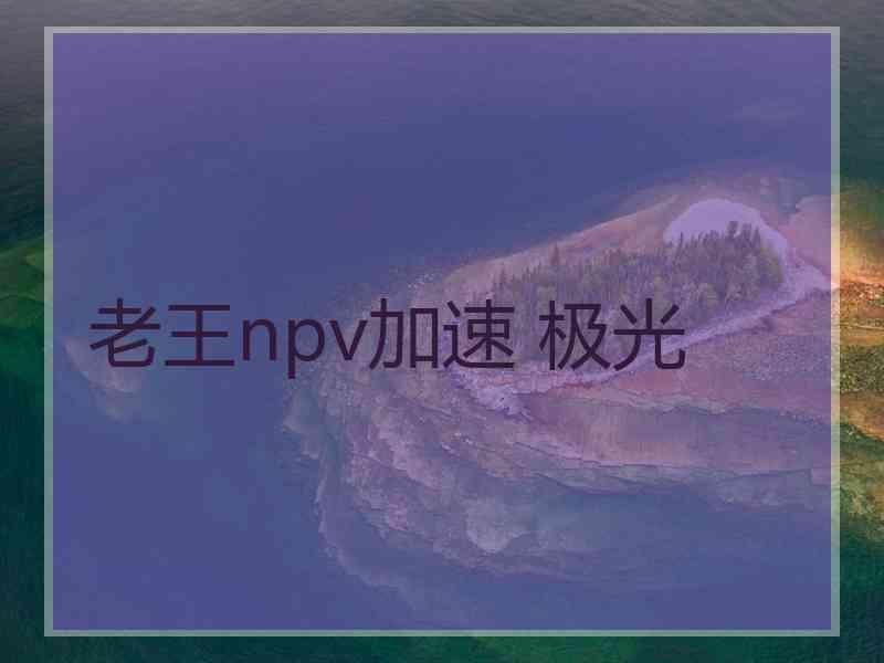 老王npv加速 极光