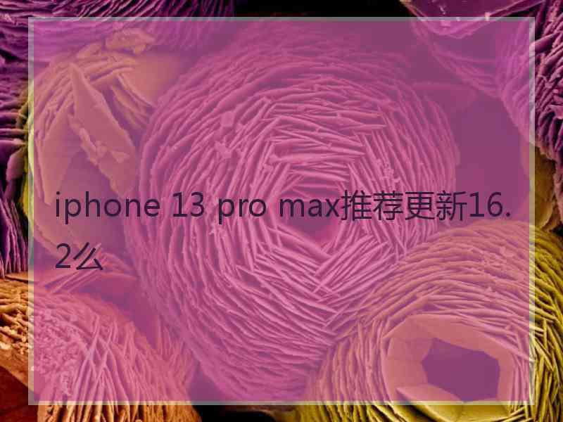 iphone 13 pro max推荐更新16.2么