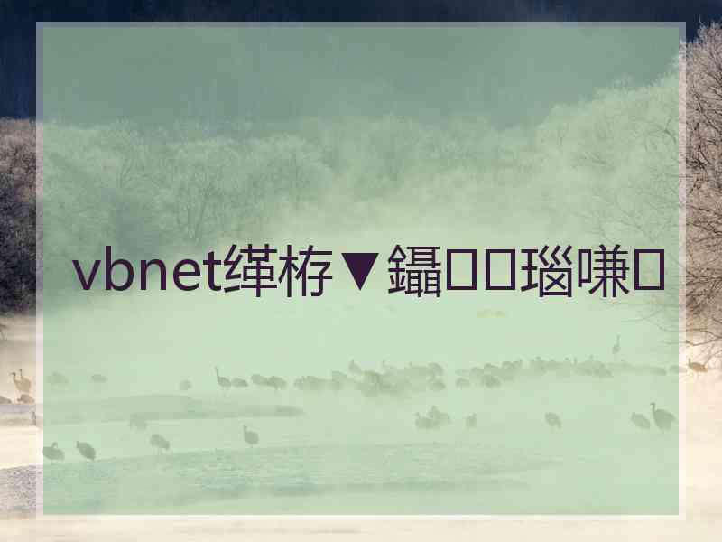 vbnet缂栫▼鑷瑙嗛