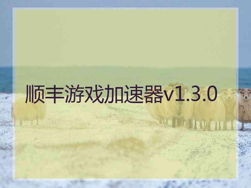 顺丰游戏加速器v1.3.0