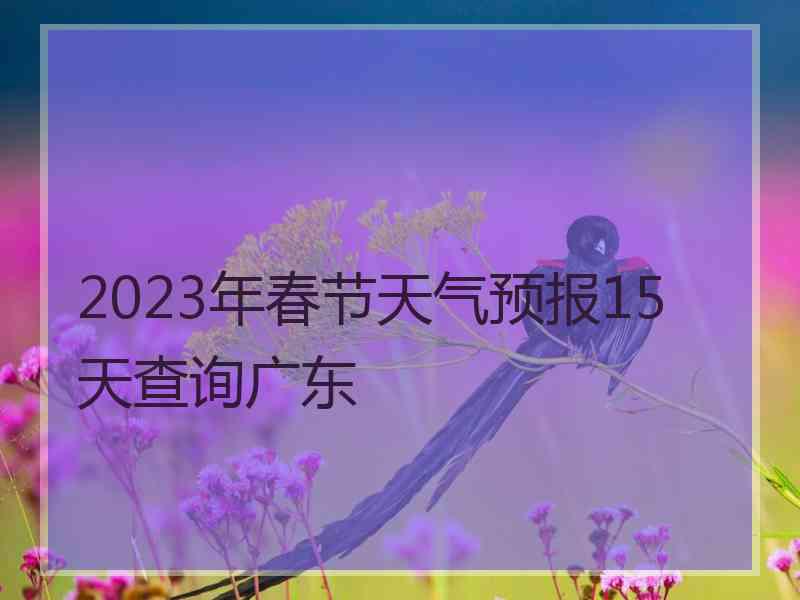 2023年春节天气预报15天查询广东