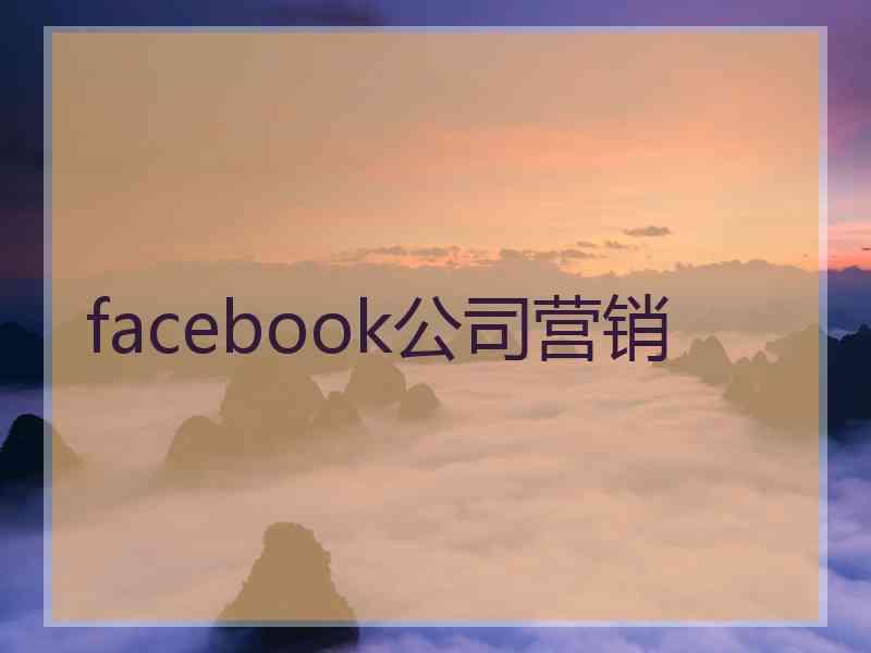 facebook公司营销