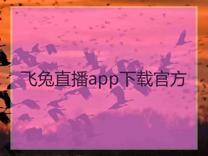 飞兔直播app下载官方