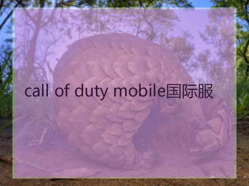 call of duty mobile国际服