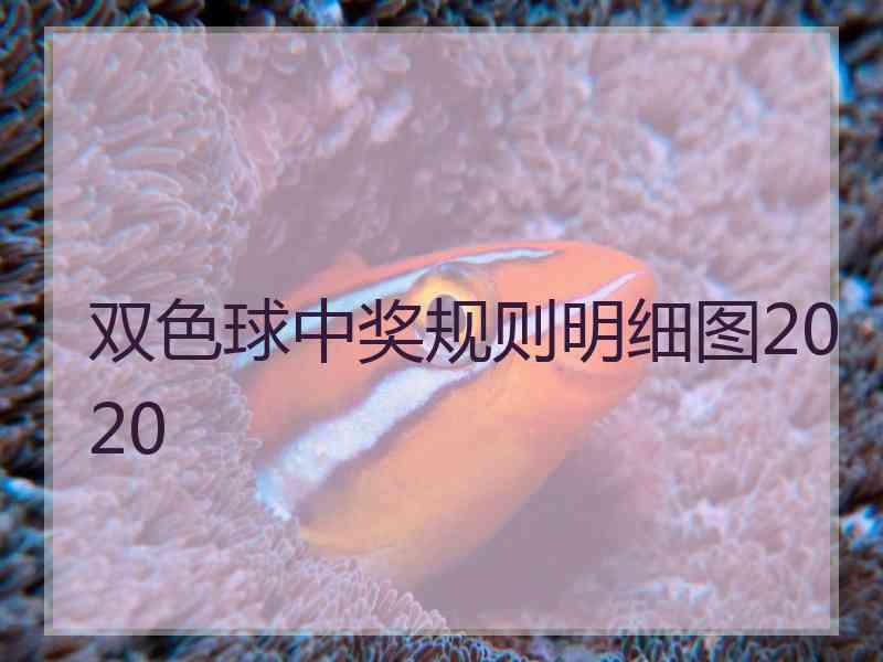 双色球中奖规则明细图2020