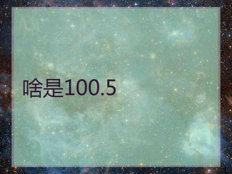 啥是100.5