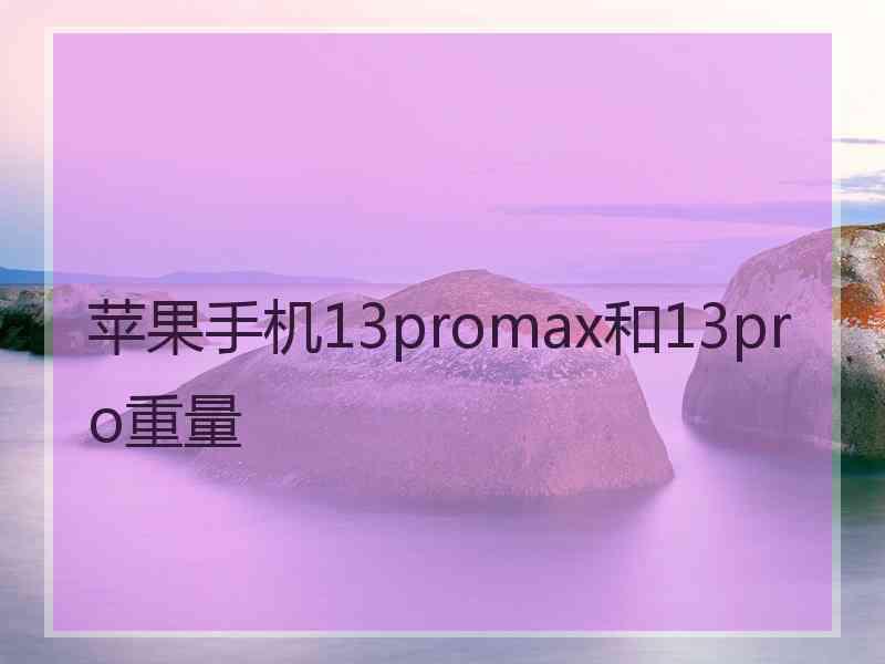 苹果手机13promax和13pro重量