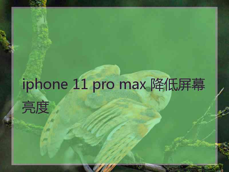 iphone 11 pro max 降低屏幕亮度