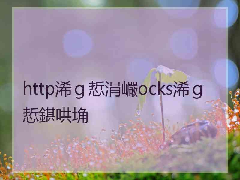 http浠ｇ悊涓巗ocks浠ｇ悊鍖哄埆