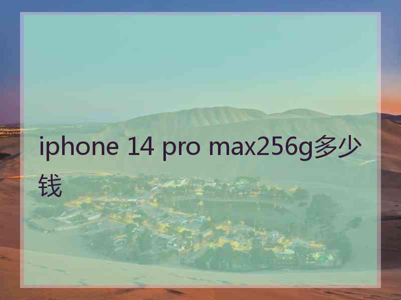 iphone 14 pro max256g多少钱