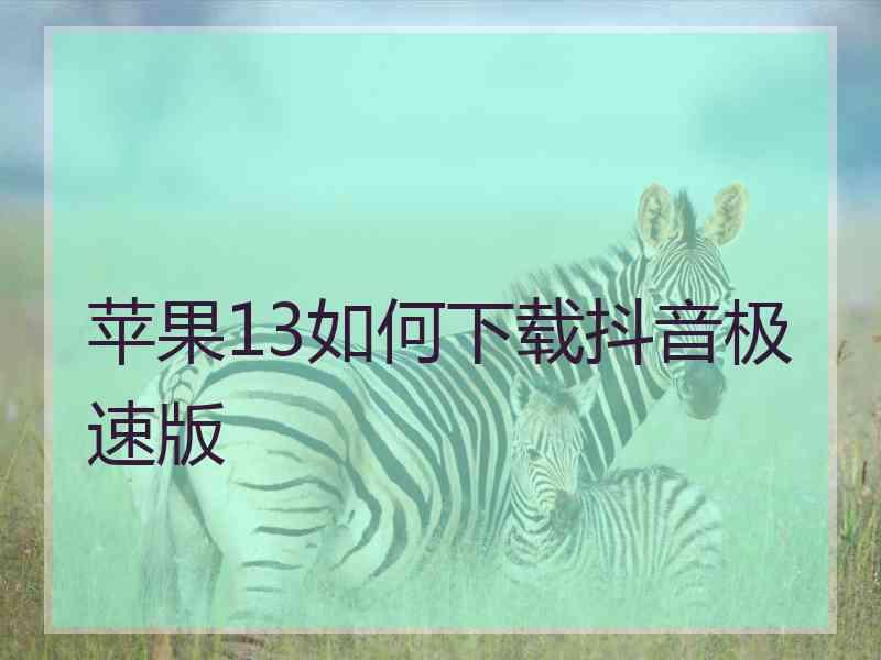 苹果13如何下载抖音极速版