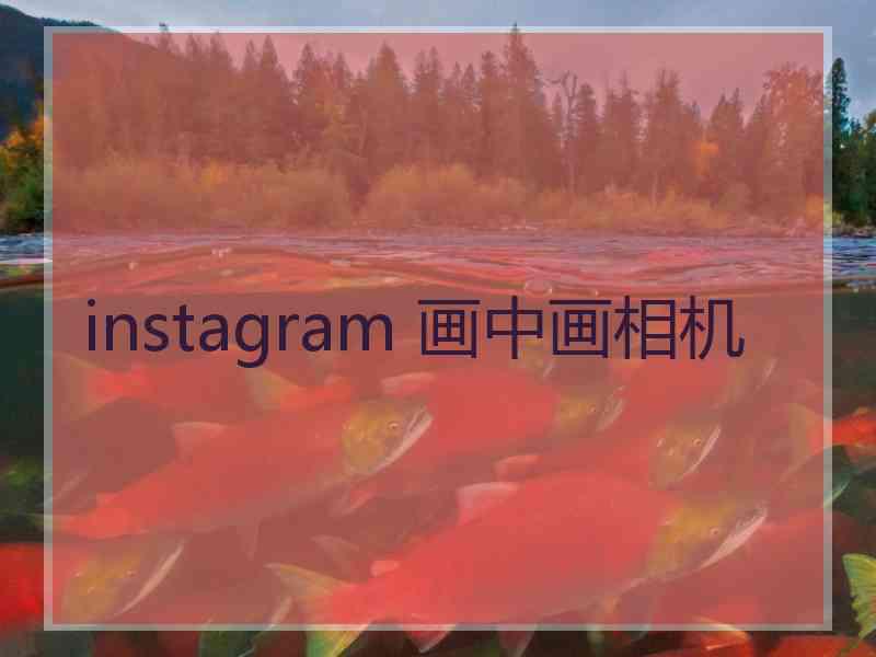 instagram 画中画相机