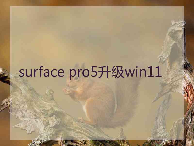 surface pro5升级win11