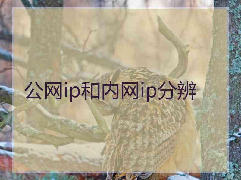 公网ip和内网ip分辨