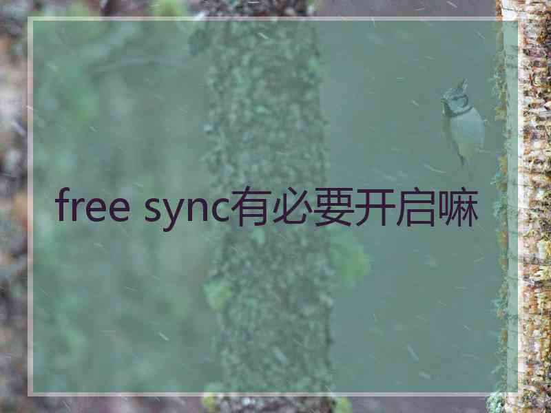 free sync有必要开启嘛