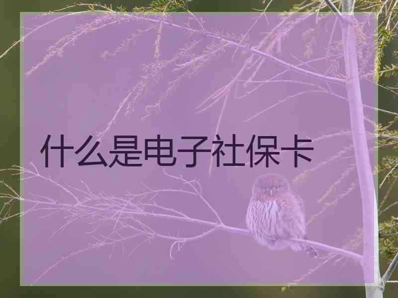 什么是电子社保卡