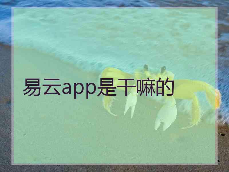 易云app是干嘛的