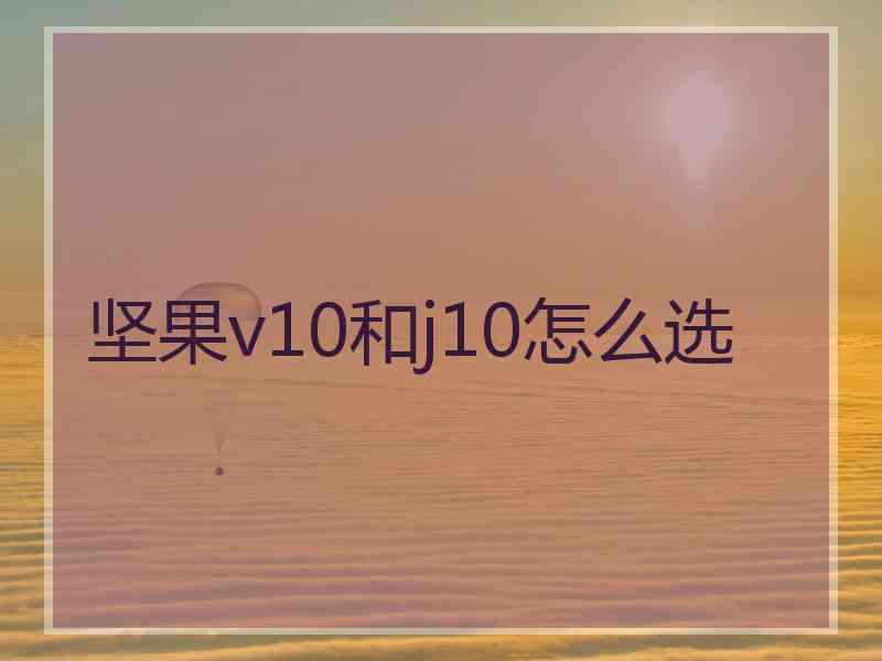 坚果v10和j10怎么选