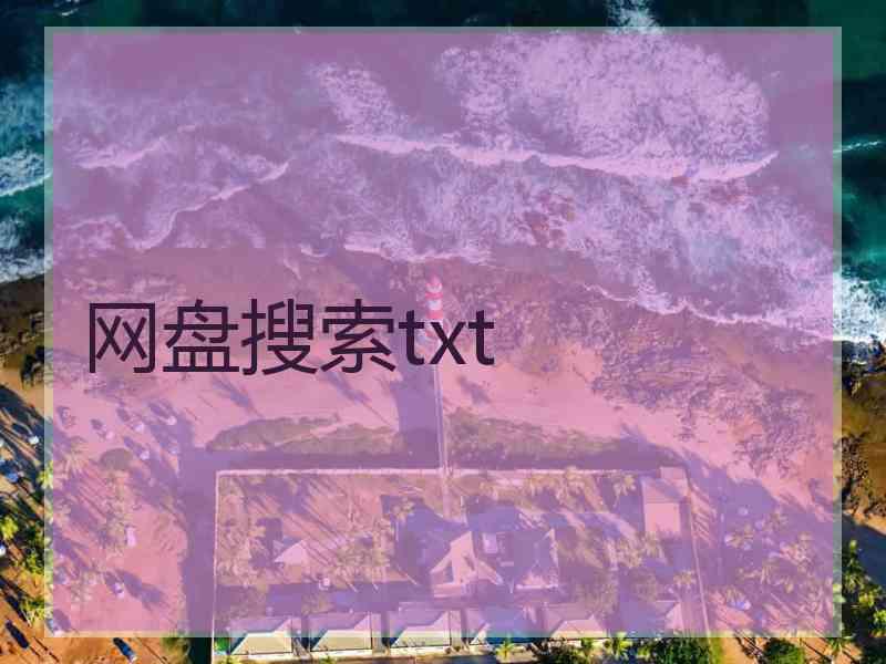 网盘搜索txt