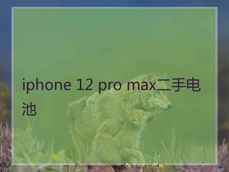 iphone 12 pro max二手电池