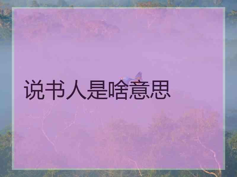 说书人是啥意思