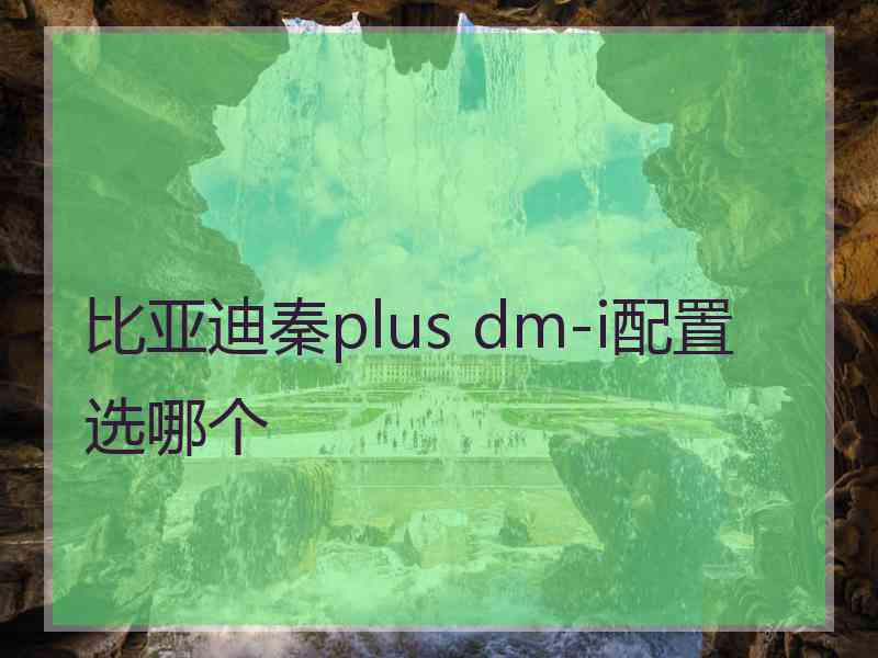 比亚迪秦plus dm-i配置选哪个