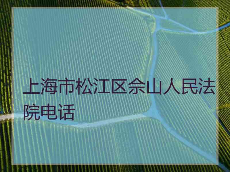 上海市松江区佘山人民法院电话