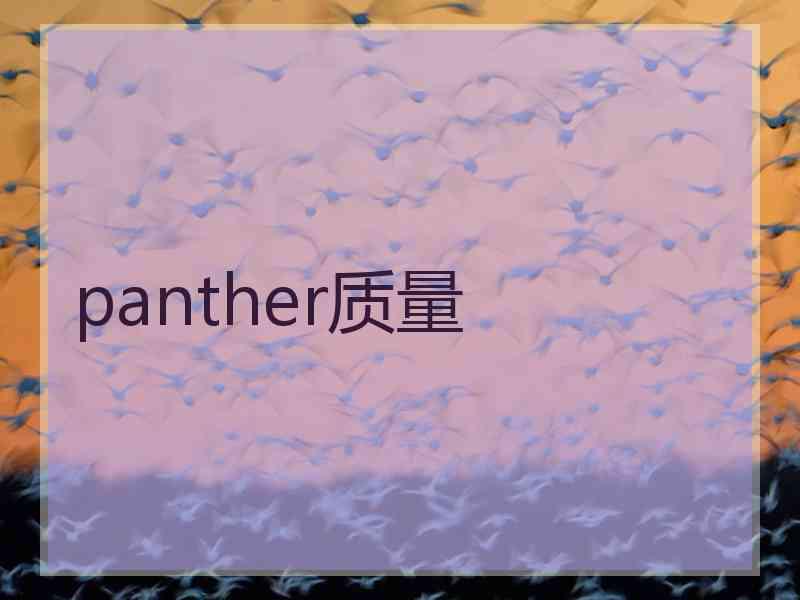 panther质量