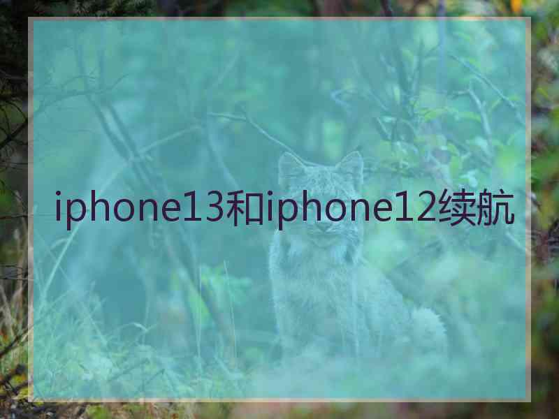 iphone13和iphone12续航