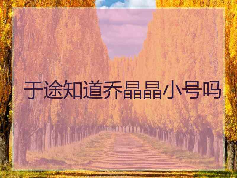 于途知道乔晶晶小号吗