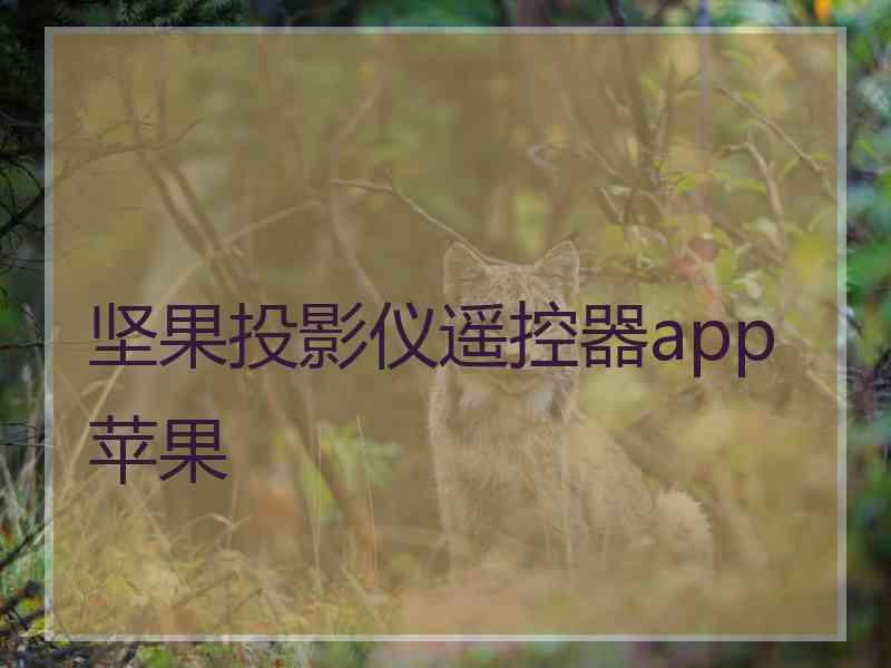 坚果投影仪遥控器app苹果