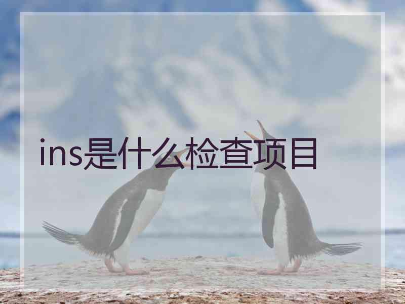 ins是什么检查项目