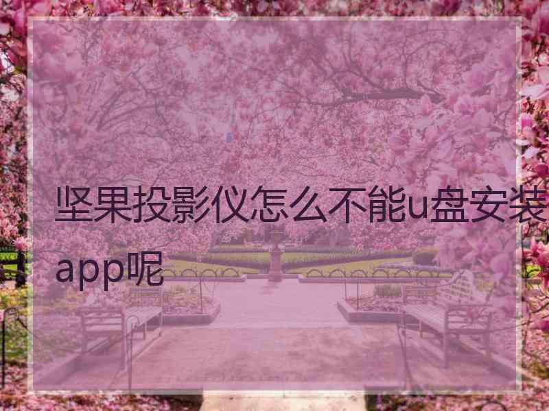 坚果投影仪怎么不能u盘安装app呢