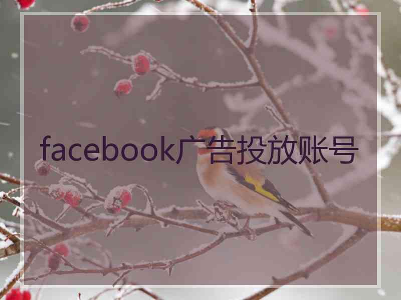 facebook广告投放账号