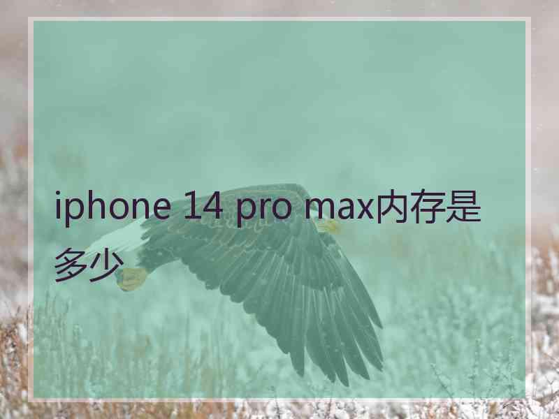 iphone 14 pro max内存是多少