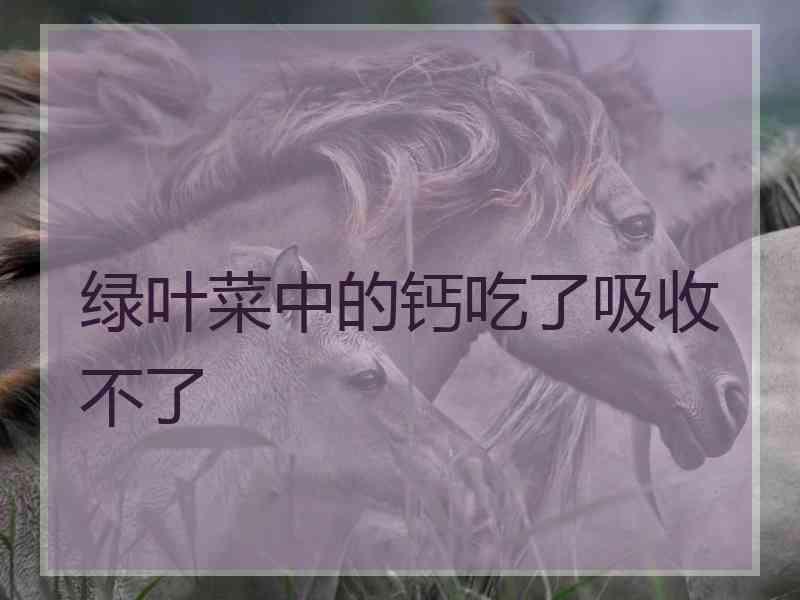 绿叶菜中的钙吃了吸收不了