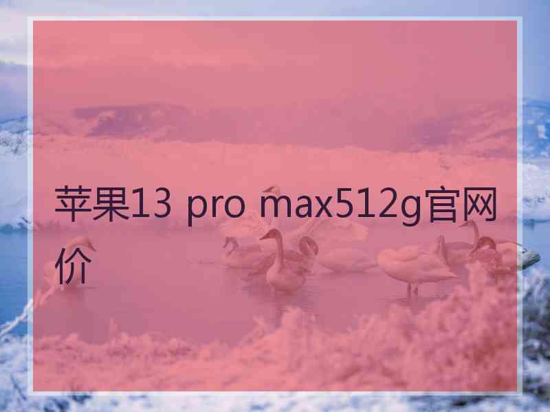 苹果13 pro max512g官网价