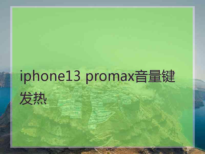 iphone13 promax音量键发热