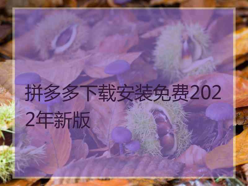 拼多多下载安装免费2022年新版