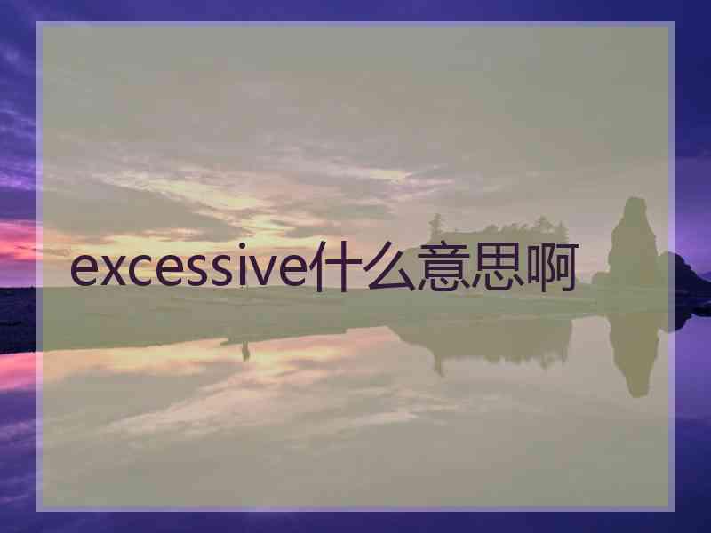 excessive什么意思啊