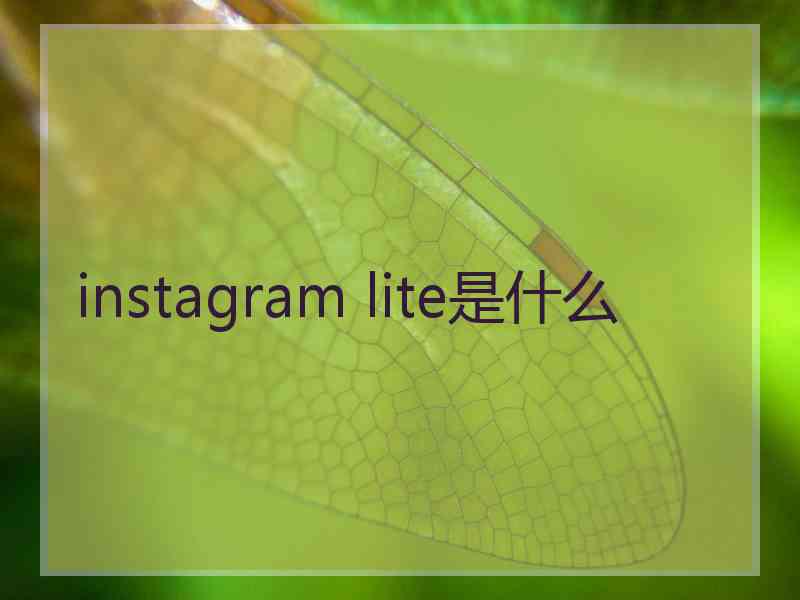 instagram lite是什么