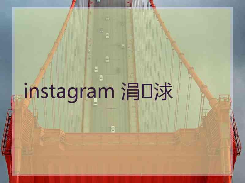 instagram 涓浗