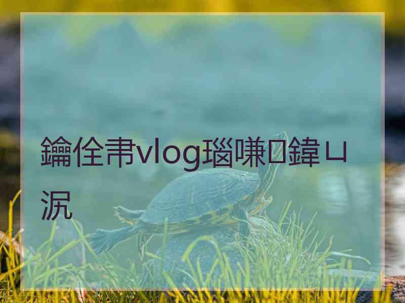 鑰佺帇vlog瑙嗛鍏ㄩ泦