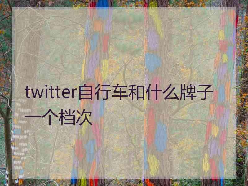 twitter自行车和什么牌子一个档次