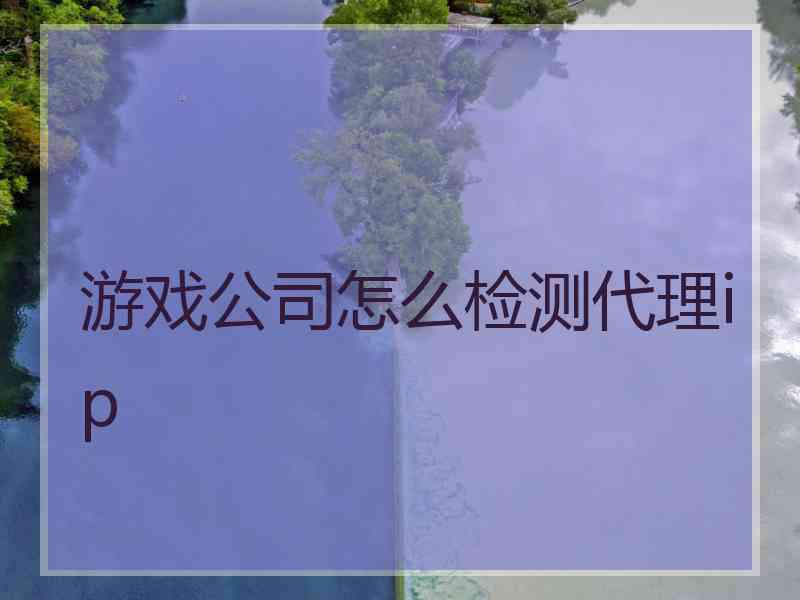 游戏公司怎么检测代理ip