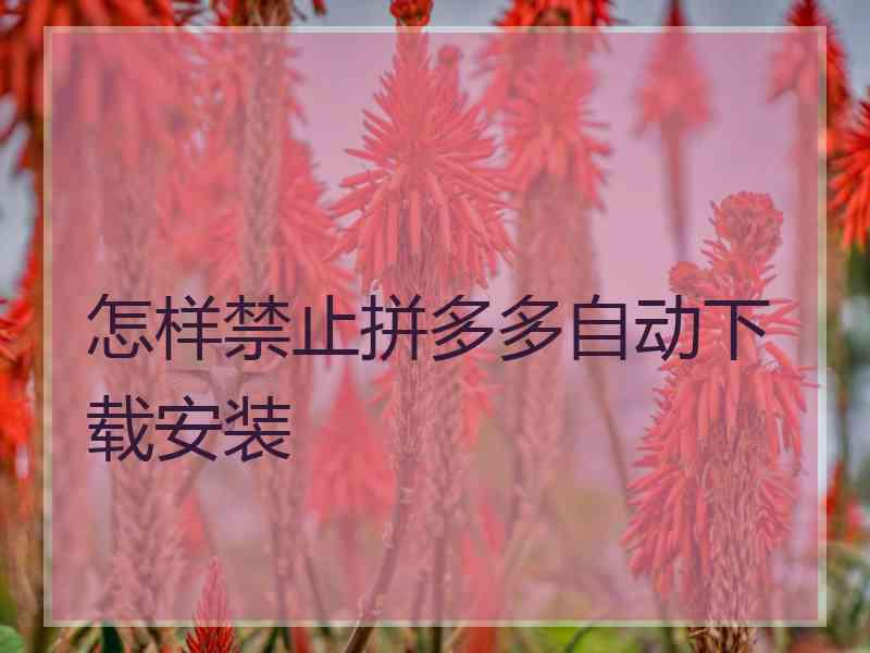 怎样禁止拼多多自动下载安装