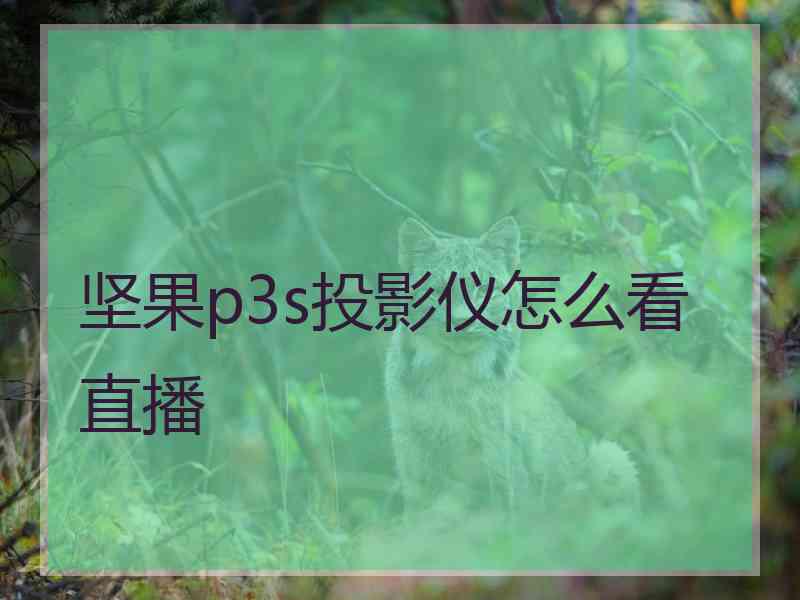 坚果p3s投影仪怎么看直播