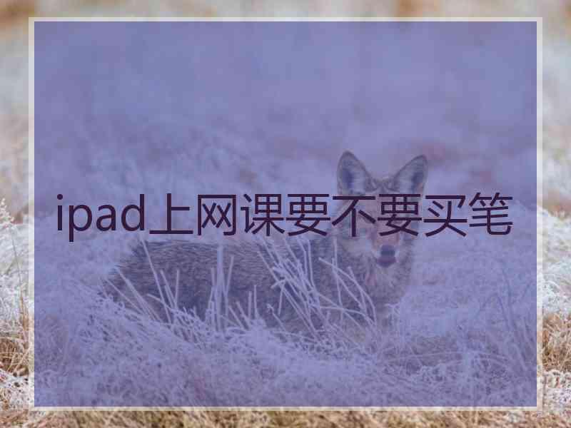 ipad上网课要不要买笔