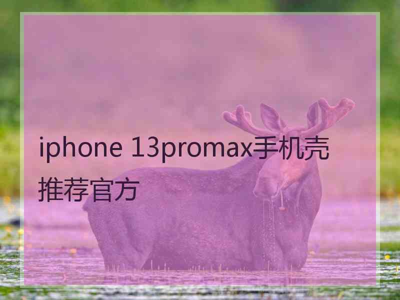 iphone 13promax手机壳推荐官方