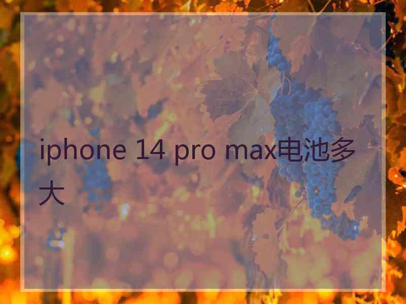 iphone 14 pro max电池多大